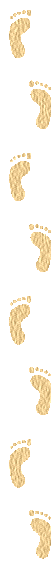 12Footp_t.gif (4584 bytes)