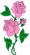Roses for